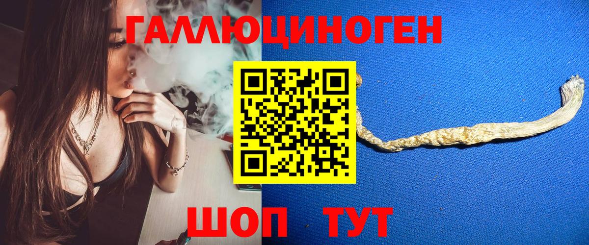 Псилоцибиновые грибы мицелий Красноярск