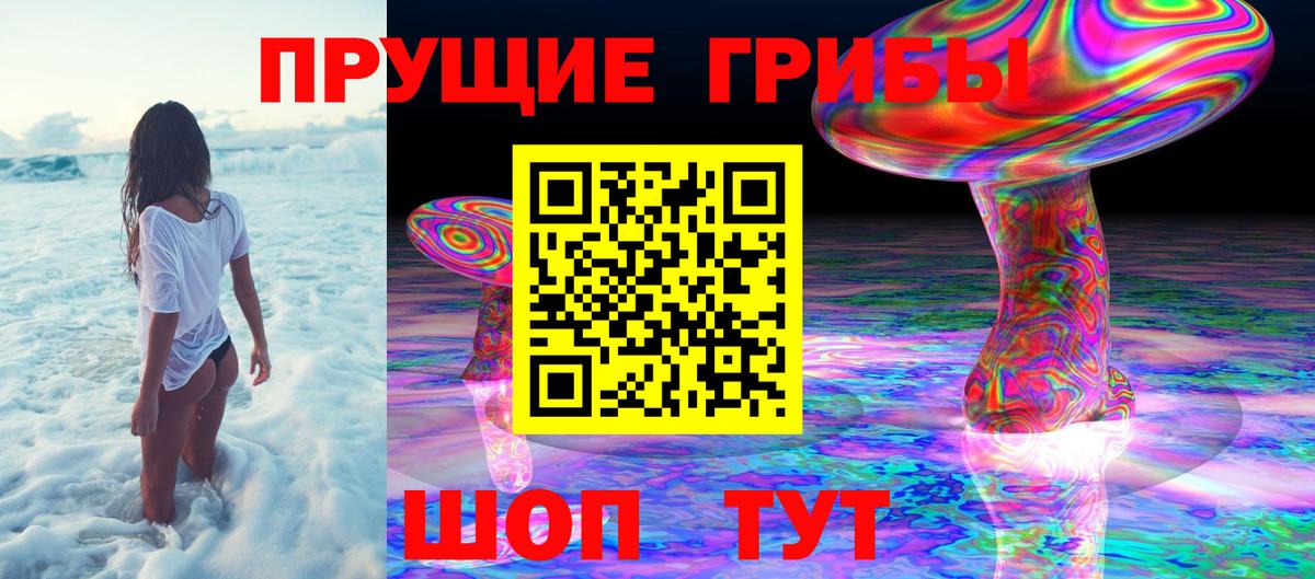 Красноярск  Галлюциногенные грибы GOLDEN TEACHER  Галлюциногенные грибы GOLDEN TEACHER  Вход с VPN 